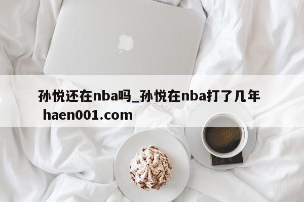 孙悦还在nba吗_孙悦在nba打了几年 haen001.com