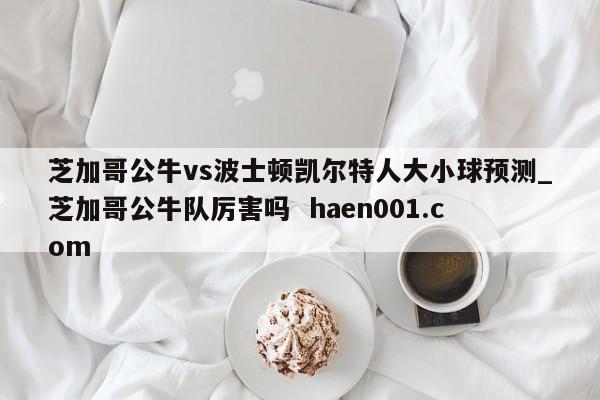 芝加哥公牛vs波士顿凯尔特人大小球预测_芝加哥公牛队厉害吗 haen001.com